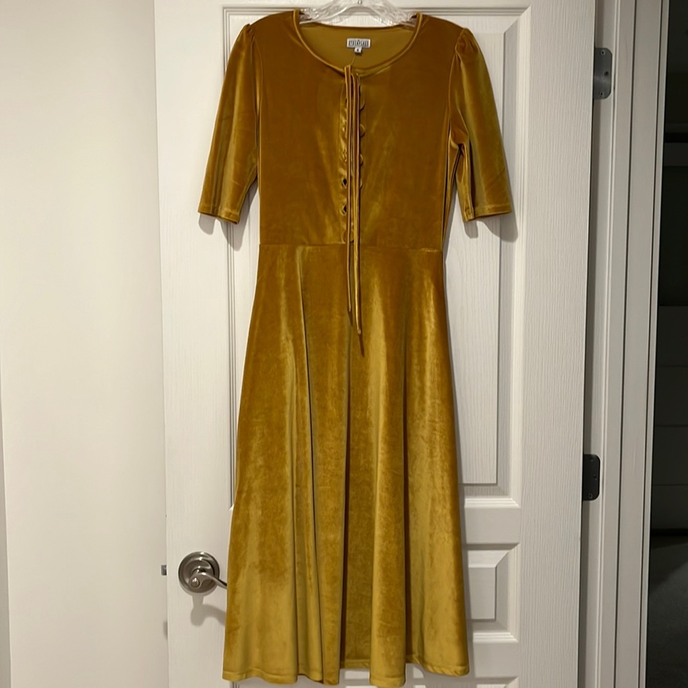 Velvet small puff sleeve dress